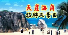鸡巴插比的视频高清海南三亚-天崖海角旅游风景区