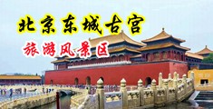 抠逼自拍中国北京-东城古宫旅游风景区